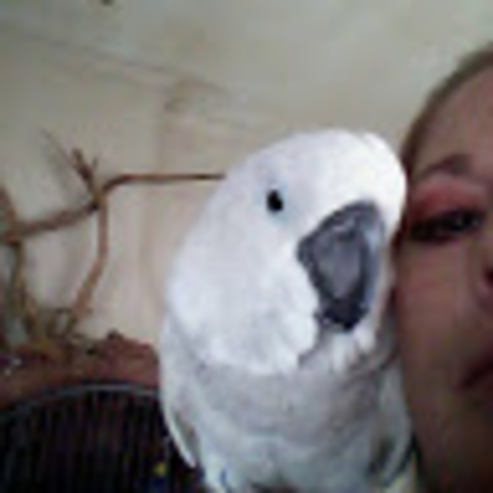 Meet your Posher, Angel